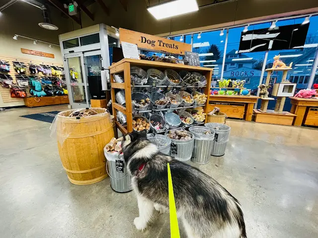 Pet boarding service Mud Bay Portland