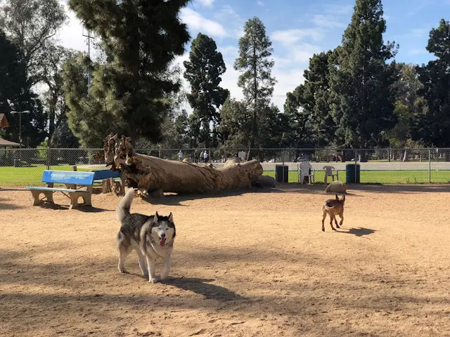 Dog day care center Recreation Dog Park Long Beach