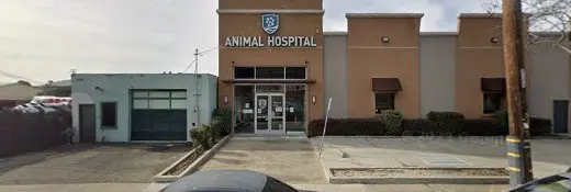 Pet boarding service Animal Hospital Hayward