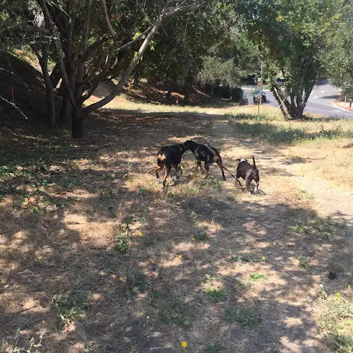 Dog Park Blair Park Oakland