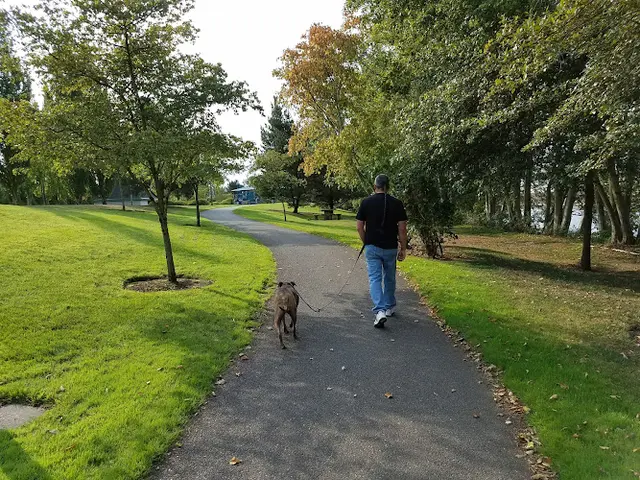 Dog trainer Cedar River Dog Park Renton