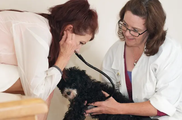 Pet vet East Bay SPCA Theodore B. Travers Veterinary Clinic Oakland