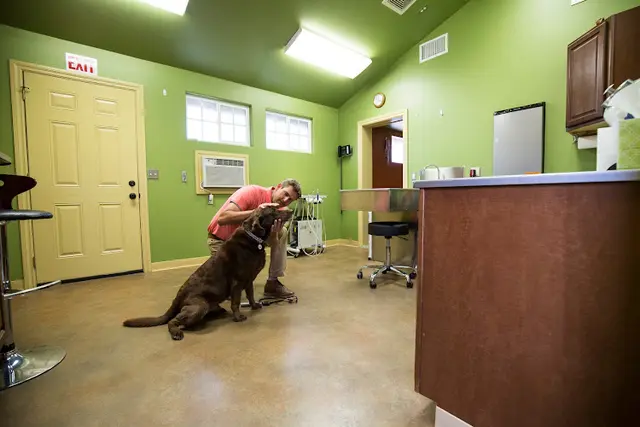 Pet vet East County Large and Small Animal Practice El Cajon