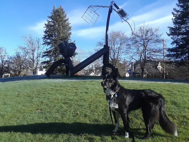 Dog Park Monroe Park Eugene