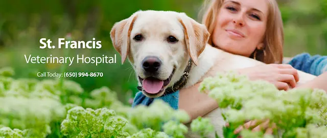 Pet vet St. Francis Veterinary Hospital San Mateo