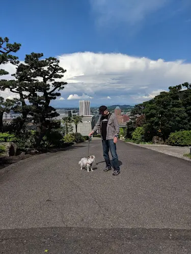 Dog Park Governors Park Portland