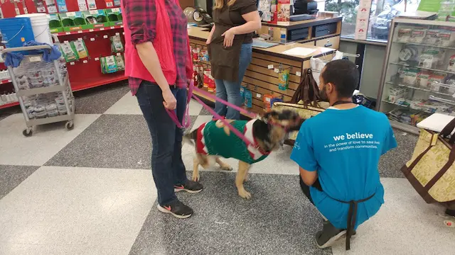 Dog day care center Petco Beaverton