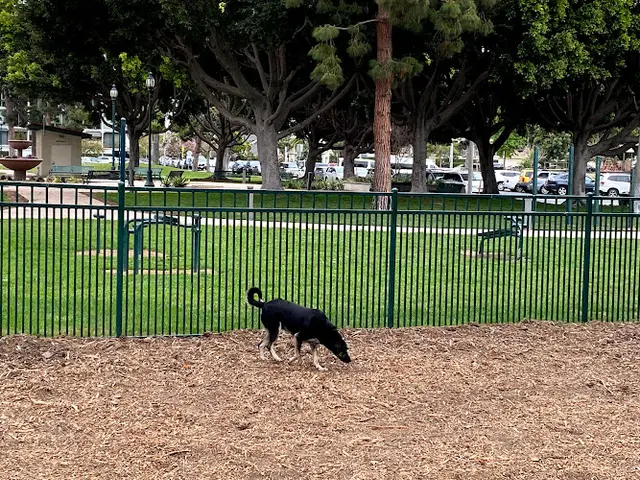 Dog day care center Bixby Dog Park Long Beach