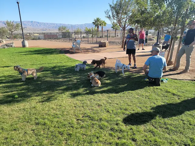 Dog Park Rancho Mirage Dog Park Indio
