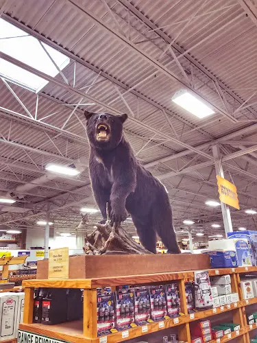 Rescue & Shelter Sportsman's Warehouse Federal Way