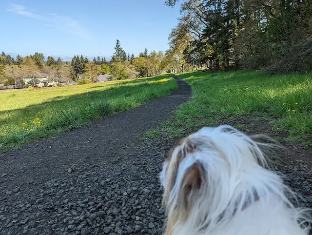 Dog Park Hawkins Heights Park Eugene