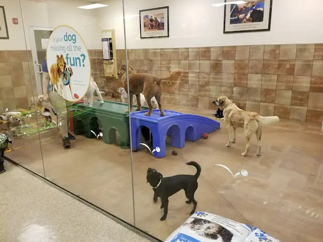 Pet boarding service PetSmart San Jose