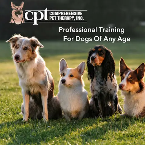 Dog trainer Comprehensive Pet Therapy Inc - Dog Training Oregon Eugene