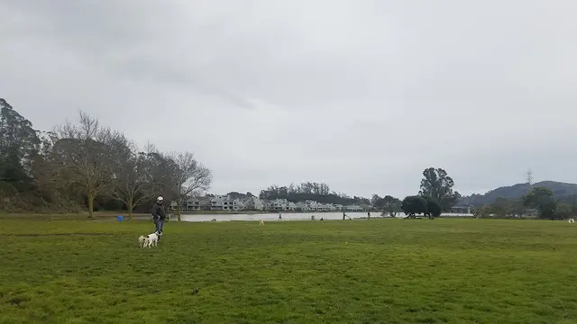 Dog Park Dog Park | Bayfront Park Mill Valley Richmond