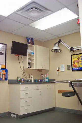 Dog day care center VCA North Division Animal Medical Center Spokane