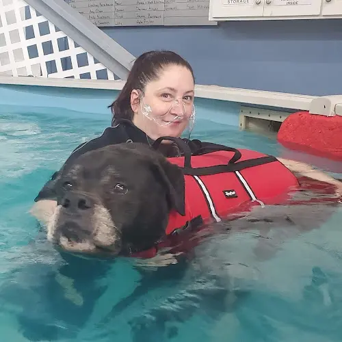 Dog trainer Bailey's Journey ~ Canine Swim Therapy Salem