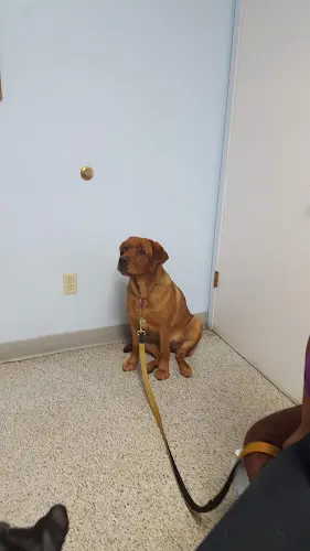 Pet boarding service Princeton Veterinary Clinic San Jose