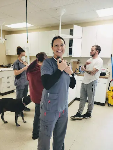 Pet boarding service Bellevue Value Pet Clinic Bellevue