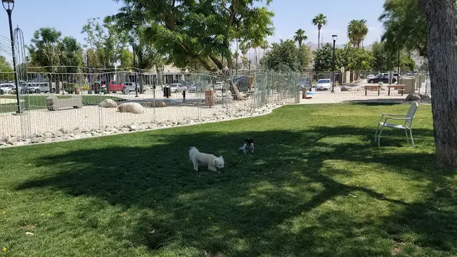 Dog Park David H. Ready Palm Springs Dog Park Indio