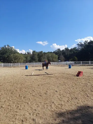 Rescue & Shelter Whispering Meadows Ranch Temecula