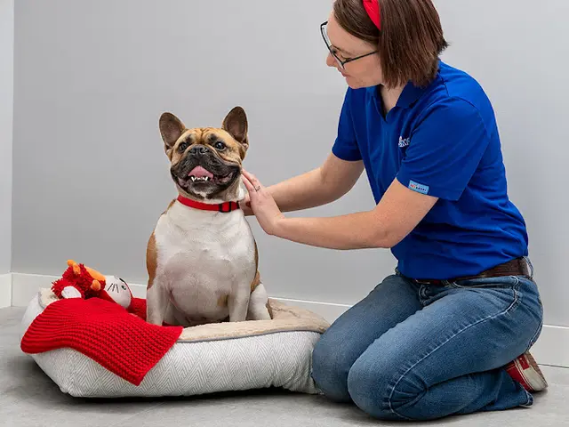 Pet vet PetSmart El Cajon