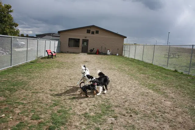 Pet boarding service Tanker Tails Dog & Cat Kennel Spokane