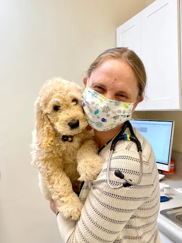 Pet boarding service The Goodland Pet Hospital - La Concepcion Santa Barbara