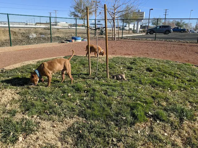 Dog Park Adelanto Dog Park Victorville