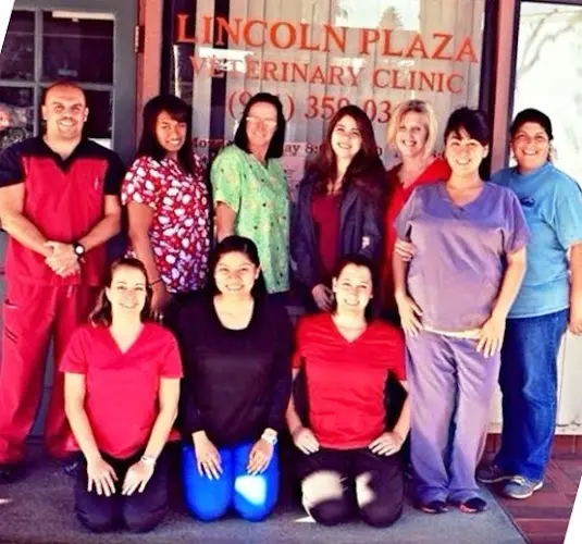 Pet vet Scott Marshall E DVM Riverside