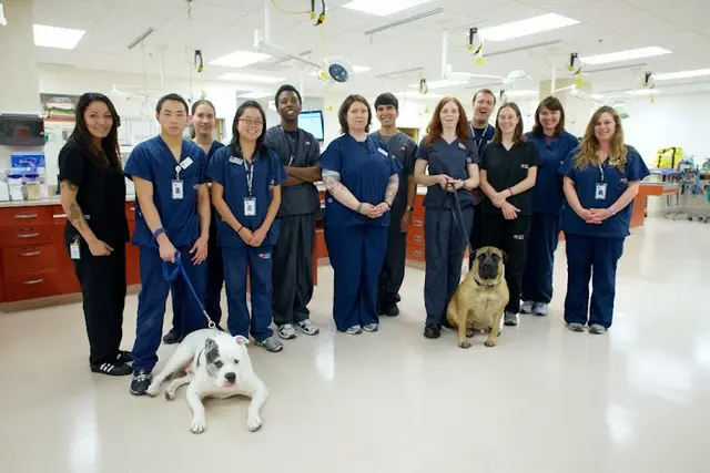 Pet boarding service San Francisco SPCA Veterinary Hospital San Francisco