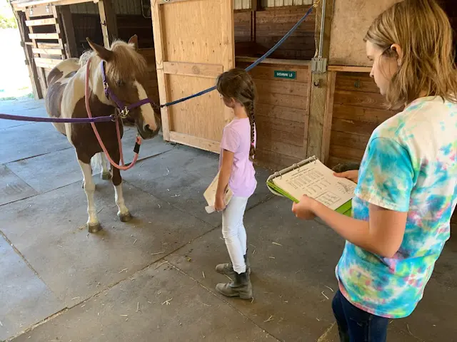 Dog day care center Avalon Management Horse Riding School and Boarding Hillsboro