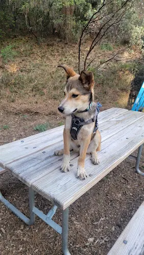 Rescue & Shelter Humane Society of Tuolumne County Redding