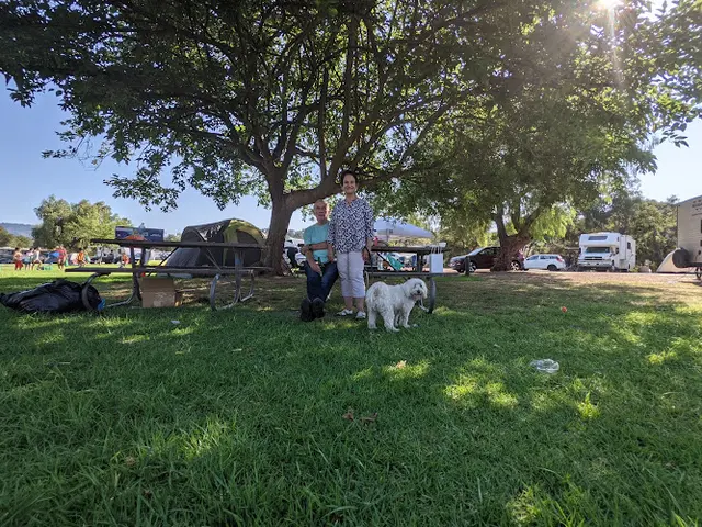 Dog Park Lake Casitas Recreation Area Ventura