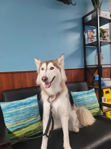 Pet boarding service Livermore Family Pet Hospital Livermore