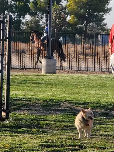 Dog day care center Forrest E. Hull Park Lancaster