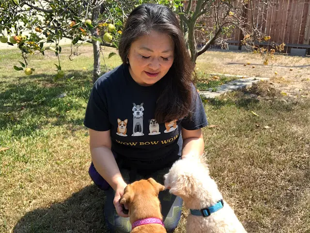 Dog trainer Wow Bow Wow Dog Trainer Costa Mesa