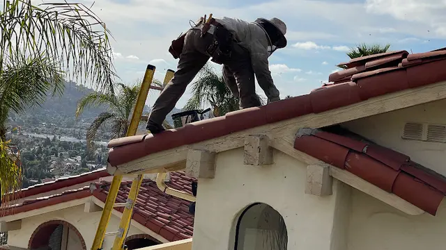 Rescue & Shelter AA-Beekeeper | Live Bee Removal & Relocation San Marcos