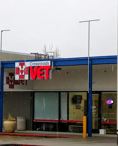 Pet boarding service Crossroads Vet Bellevue