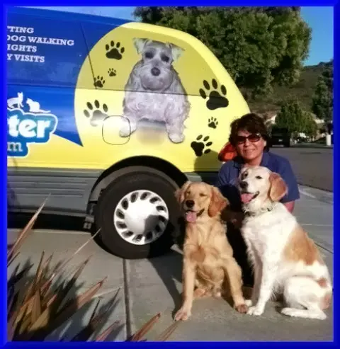 Dog day care center Lovable Pet Sitter & Dog Walker Santa Clara