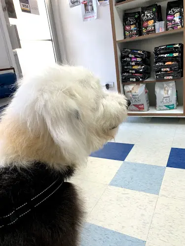 Pet vet Vet Playas Veterinary Hospital Chula Vista