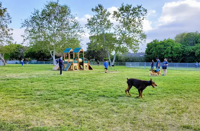 Dog Park Rohr Dog Park Chula Vista