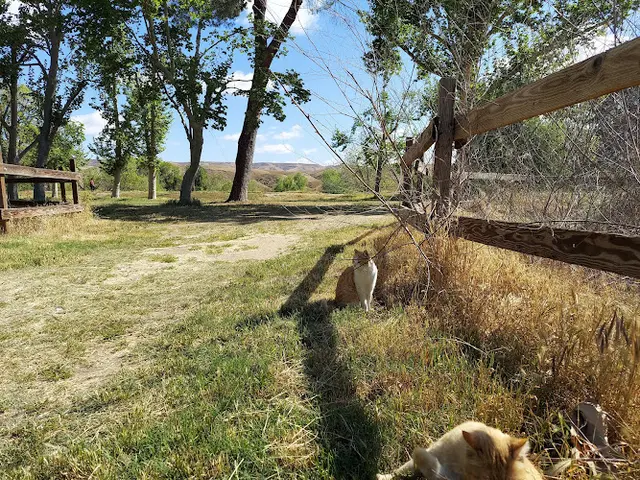 Dog Park Kern River County park Bakersfield