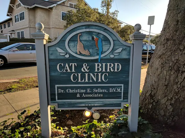 Pet vet Cat and Bird Clinic Santa Barbara