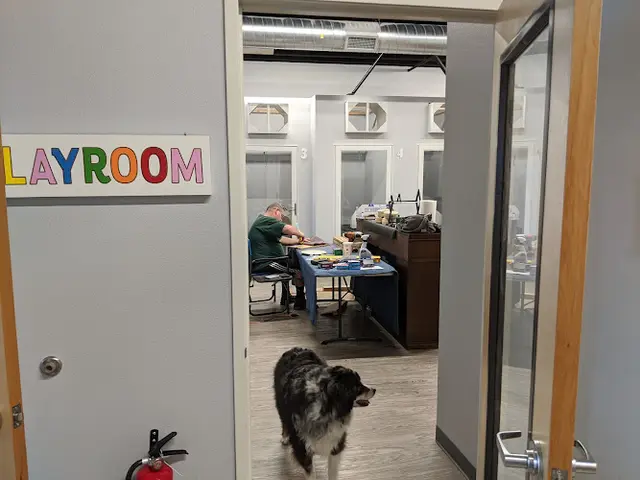 Dog day care center Tiny's Place Luxury Cat Boarding LTD Vancouver