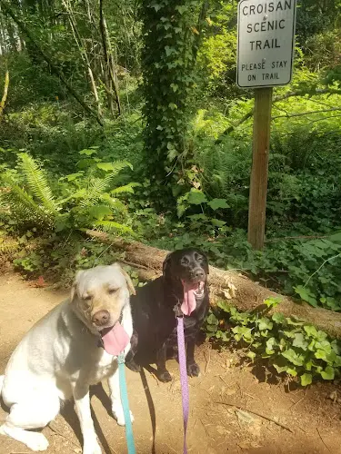 Dog walker Croisan Creek Trail Salem
