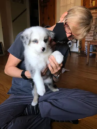 Pet vet East Bay Veterinary House Calls Oakland