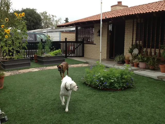 Dog walker The Dog Park Inn Santa Ana