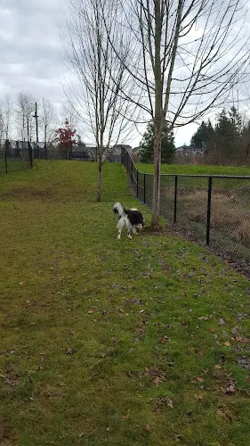 Dog Park Sandy Dog Park Gresham
