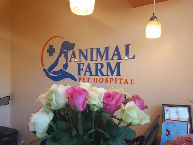 Dog day care center Animal Farm Pet Hospital Daly City