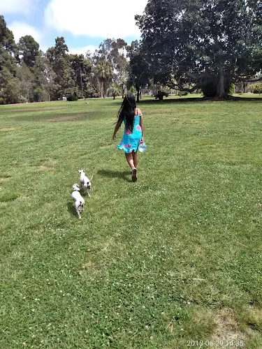 Dog Park Golden Hill Park San Diego